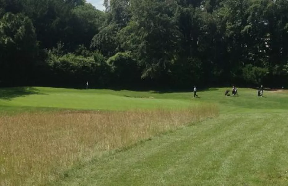 Tyrrells Wood GC: #1