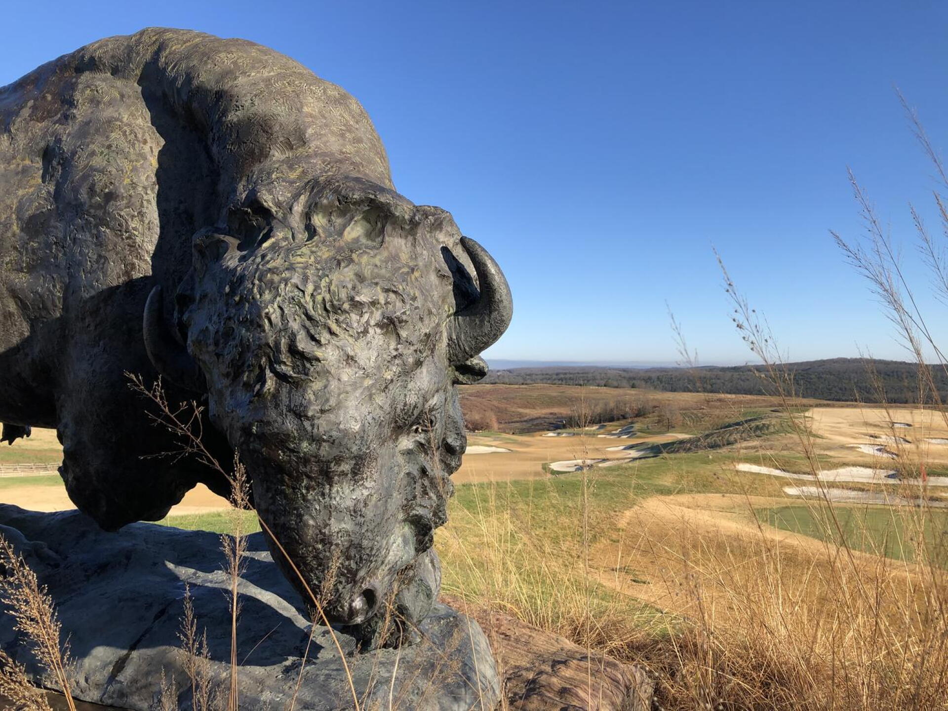 Par-5 first hole in the background (Photo submitted by BrandonWebb on 11/29/2020)