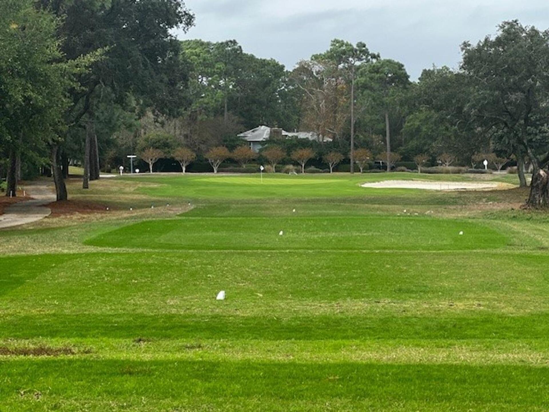 (Photo submitted by chM1964lX7ipQqHwU3ht on 12/19/2023)