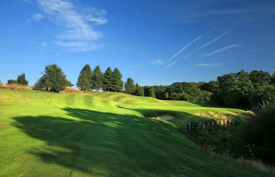 East Sussex National - West: #12