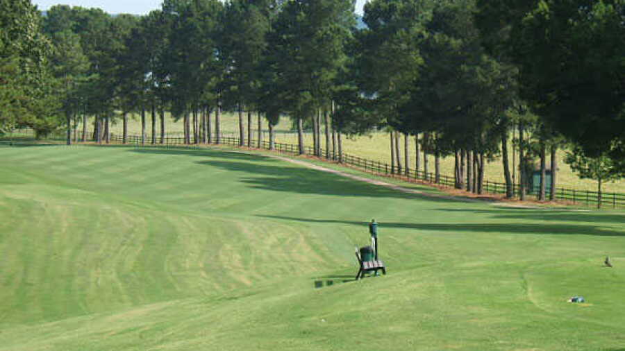 Turtle Point Yacht & CC: #17