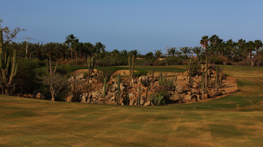 Ocean golf course at Cabo del Sol - hole 10