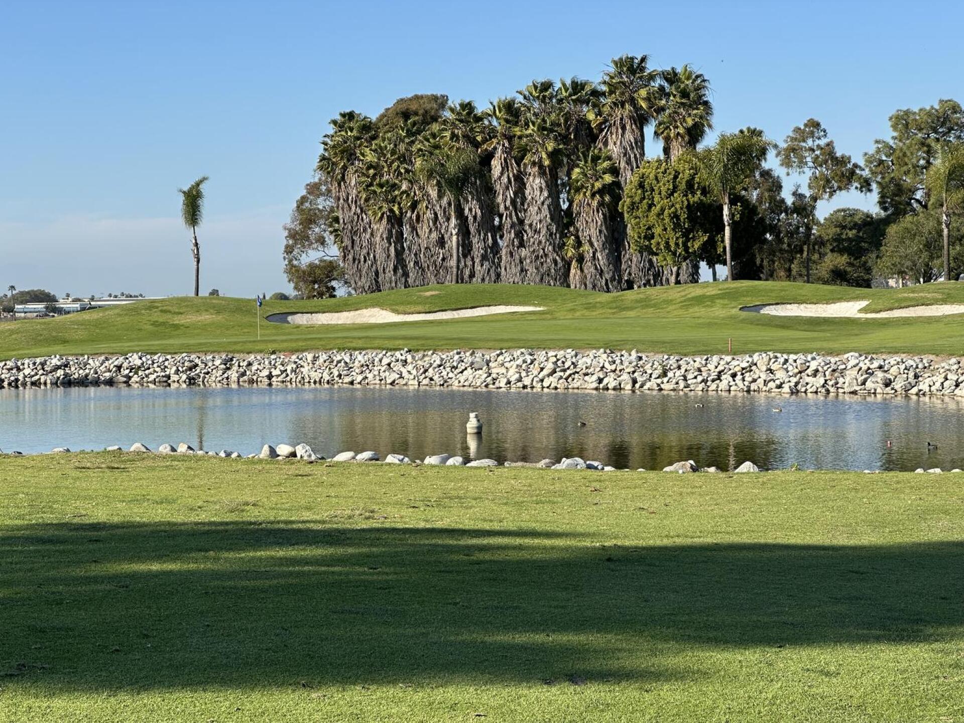 (Photo submitted by oZWjBrm877ES8dkB0pqY on 02/25/2025)