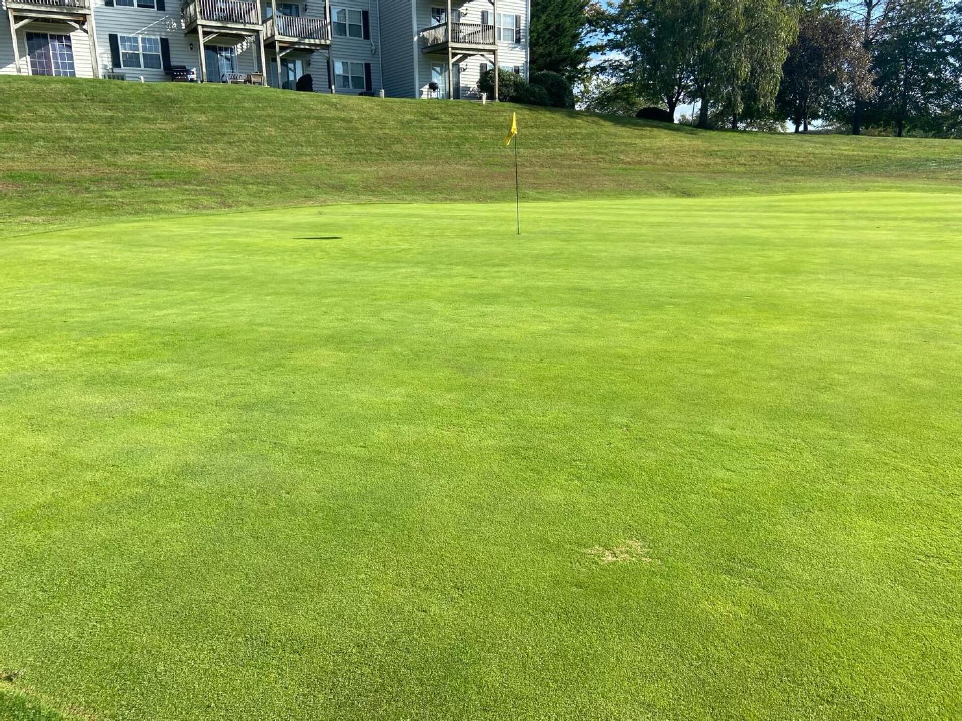 hole 17 green (Photo submitted by u417350081 on 10/10/2024)