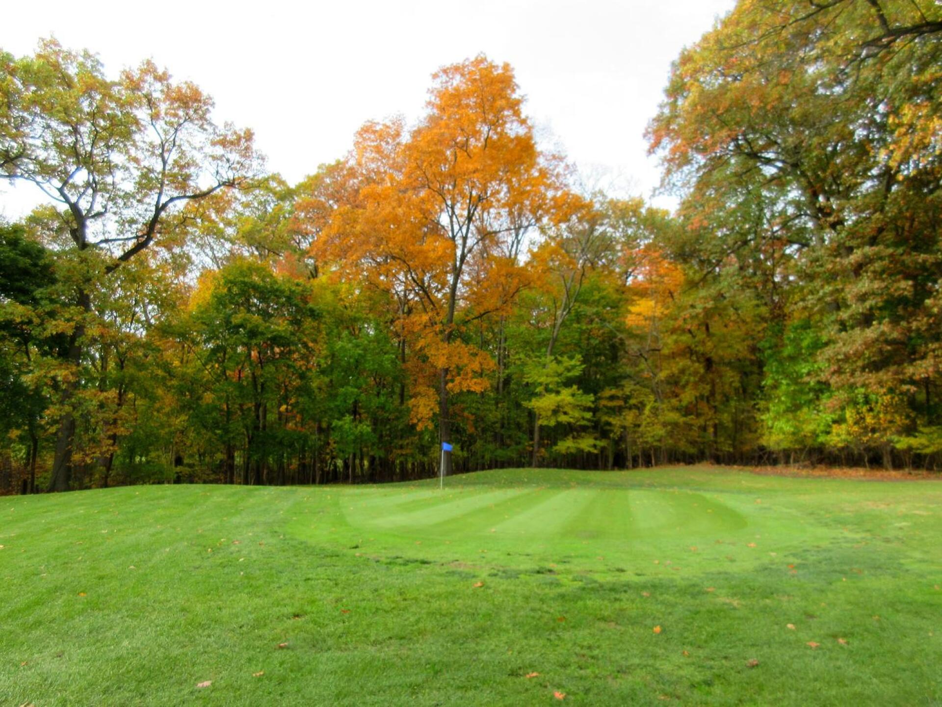 11th green (Photo submitted by 5PCA6tHsRgwp7MVaEPt4 on 08/26/2021)