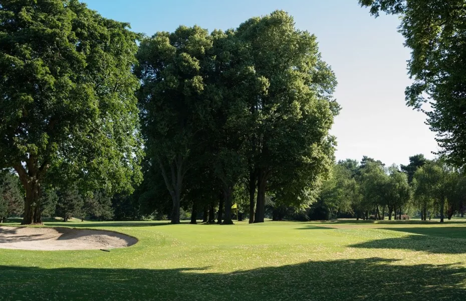 Saint Cloud GC - Yellow: #7