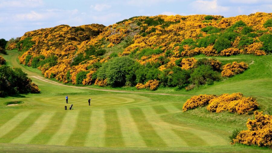 Braid Hills GC