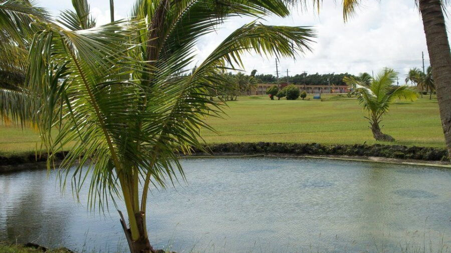 Windward Hills CC
