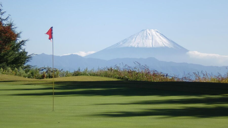 CC Green Valley - Suzuran: #8