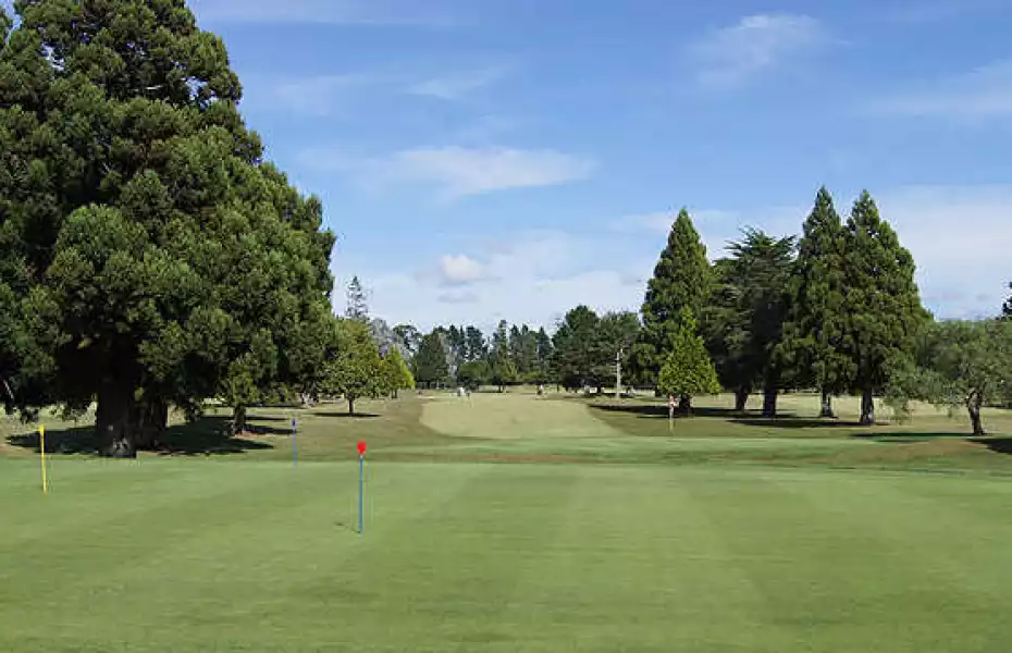 Bay of Islands GC: #11