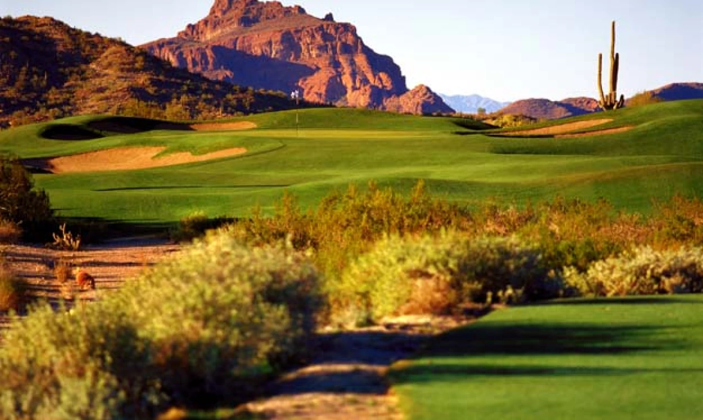 Las Sendas Golf Club in Mesa