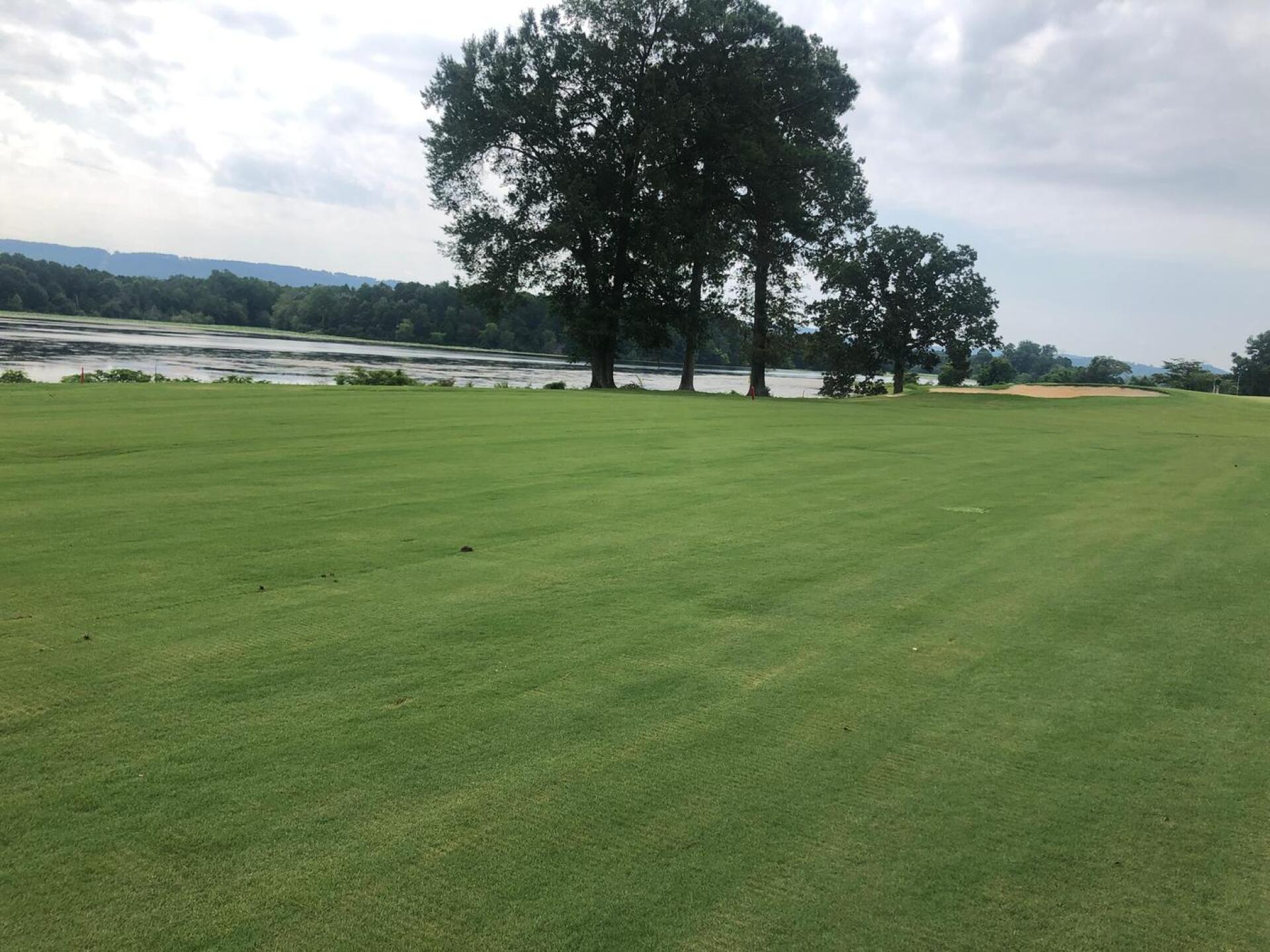 (Photo submitted by CGR78 on 08/05/2020)