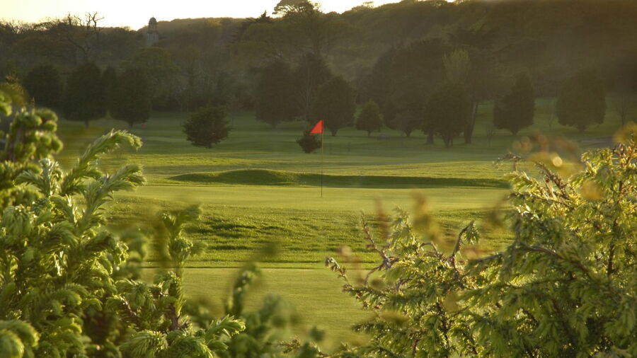 Tehidy Park GC: #13