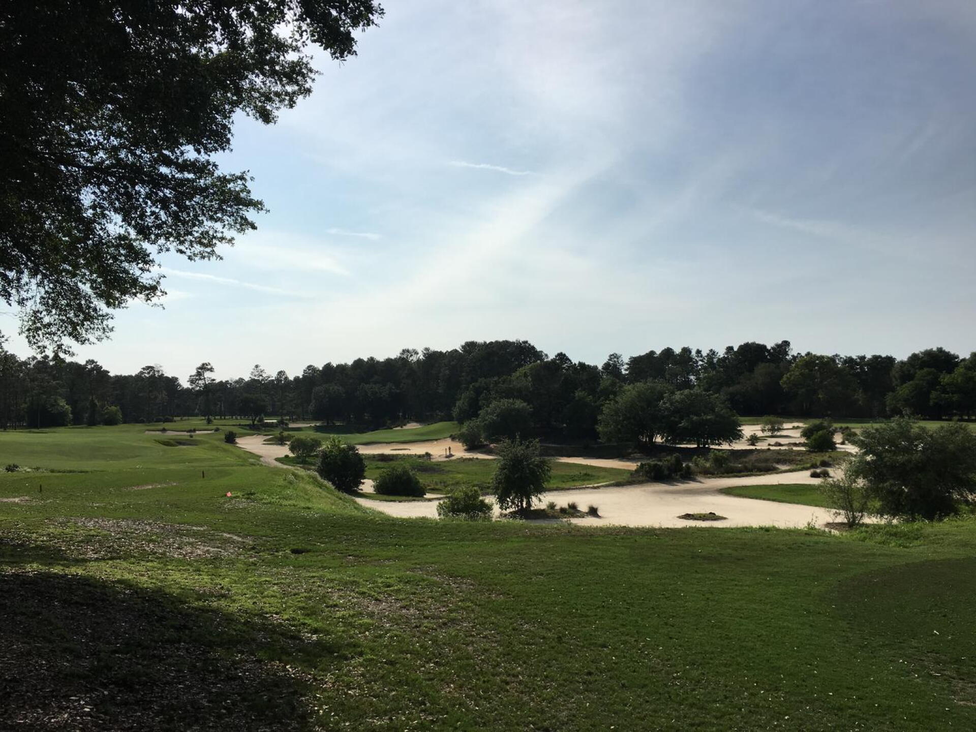 15th at Pines Barren, easy drive down the left, wedge on the green sink the putt, haha (Photo submitted by Raygu3 on 04/29/2016)