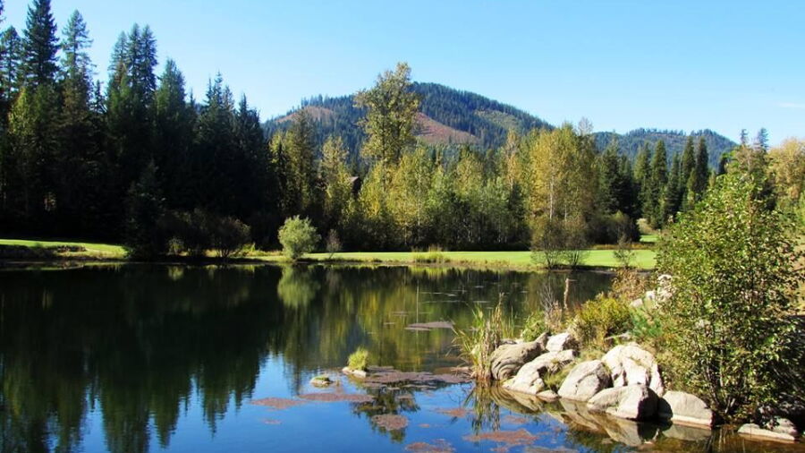 Priest Lake GC: #7