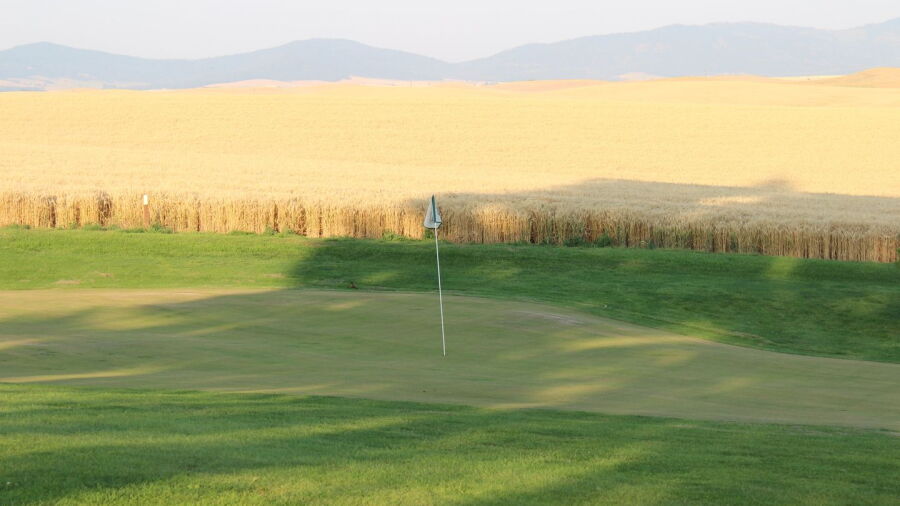 Tekoa GC