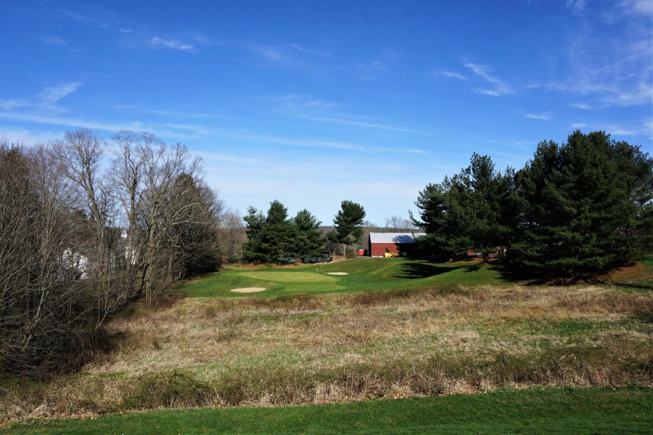 Green eight is set behind a large, marshy depression. (Photo submitted by AptlyLinked on 04/13/2022)