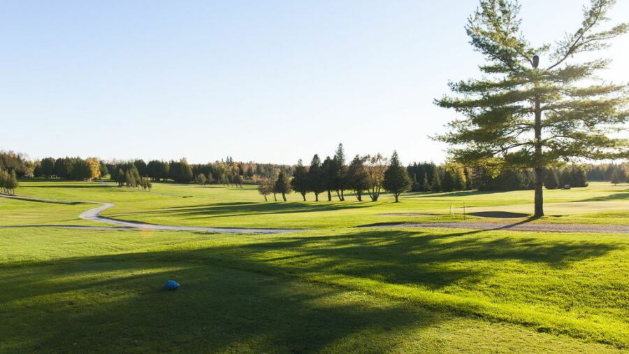 Tamarac GCC