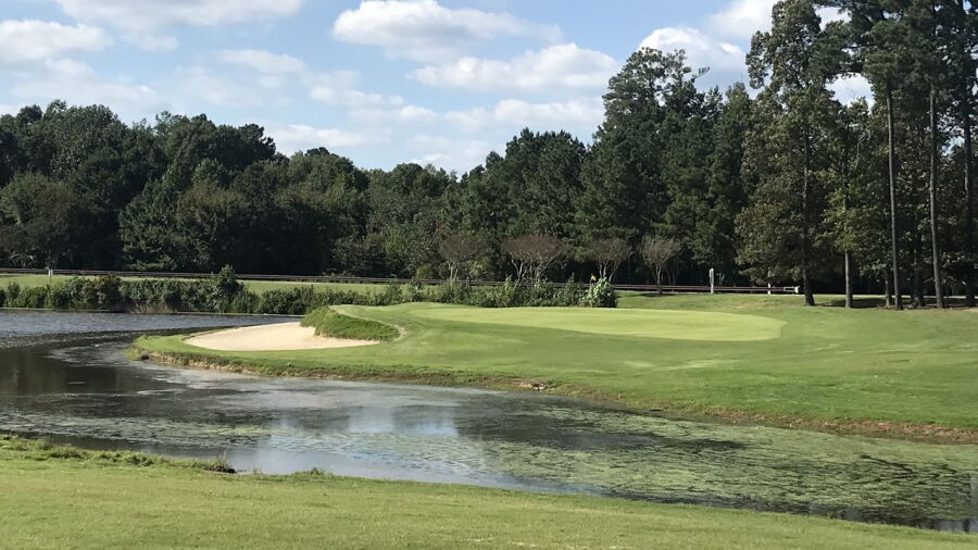 Birkdale GC: #9