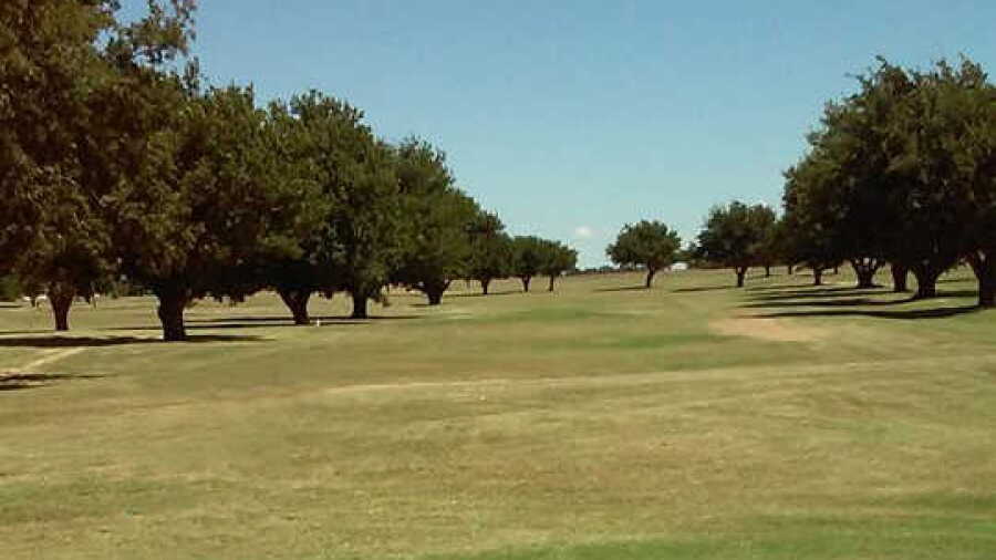 Knox City CC