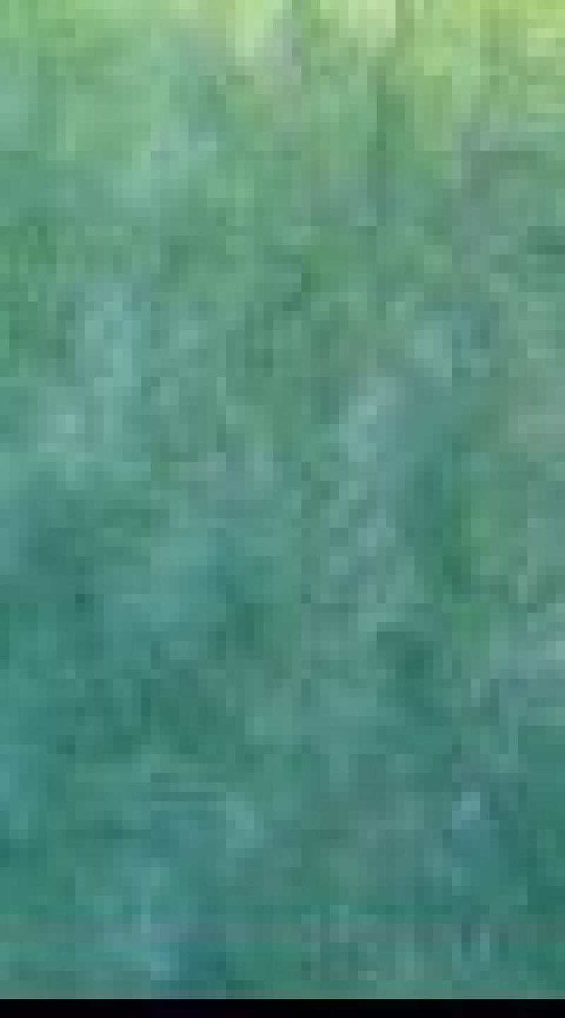 image-00001.png