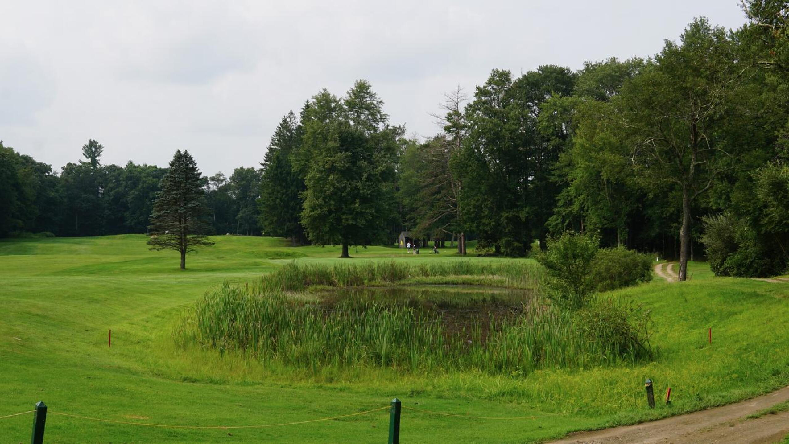As it precedes the par-3 fifth green, this pond has a habit of collecting golf balls. (Photo submitted by AptlyLinked on 08/21/2024)