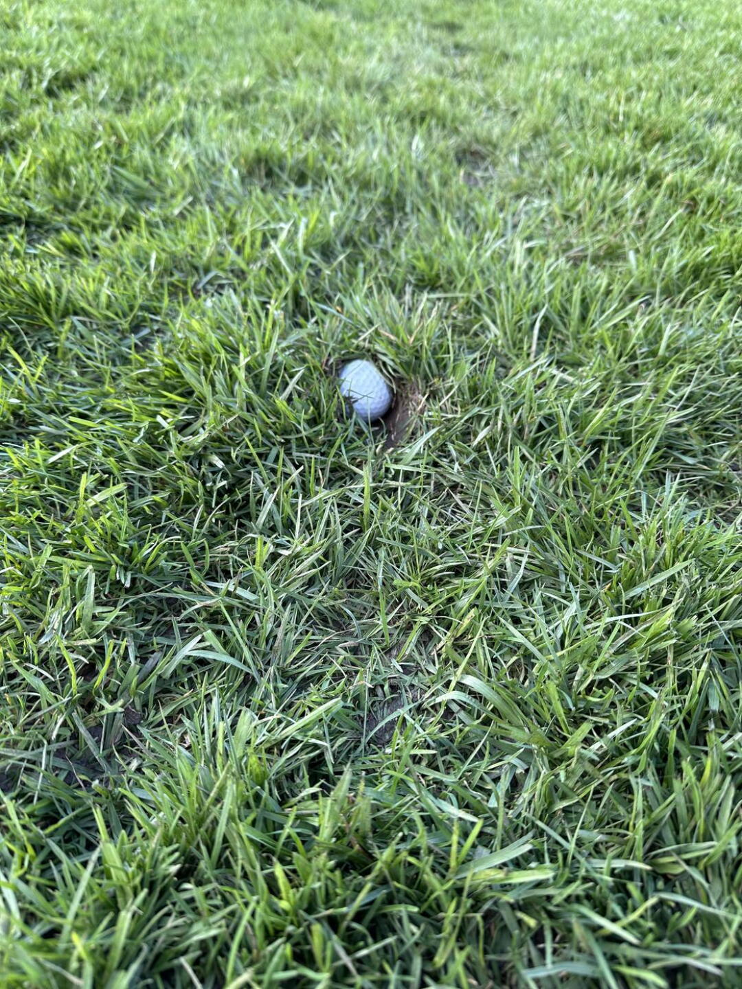 Middle of “Fairway” (Photo submitted by u791200452 on 03/24/2024)