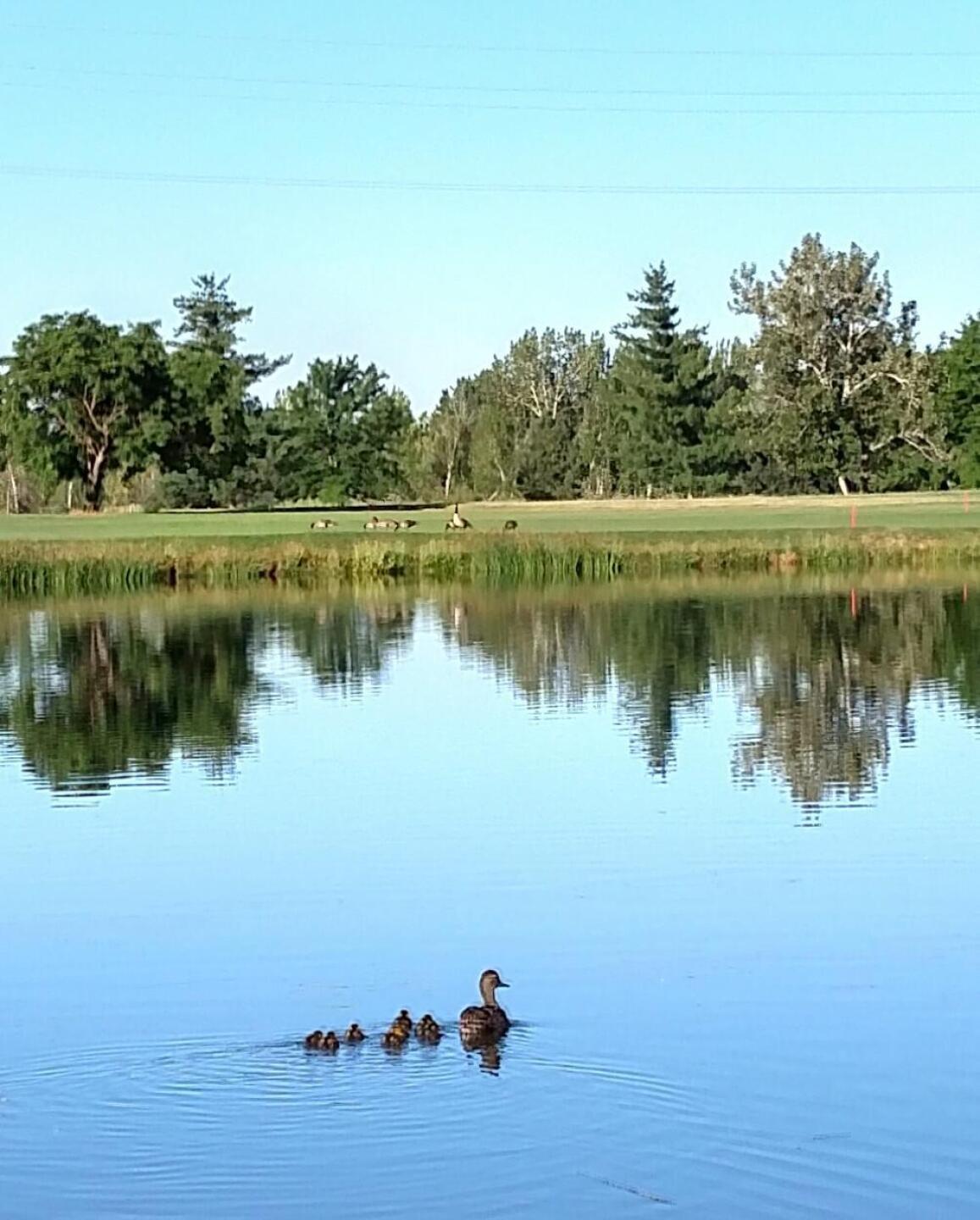 (Photo submitted by sorenj on 07/09/2017)