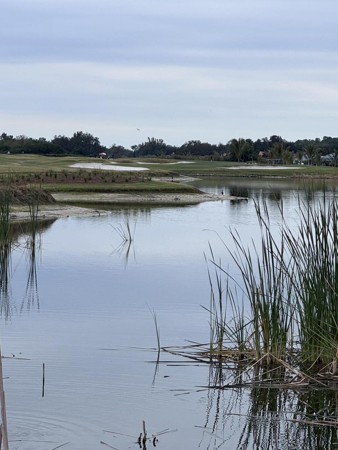 (Photo submitted by u314164264750 on 01/31/2026)