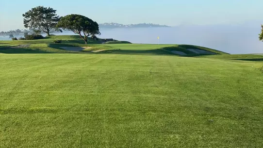 Torrey Pines South - fog