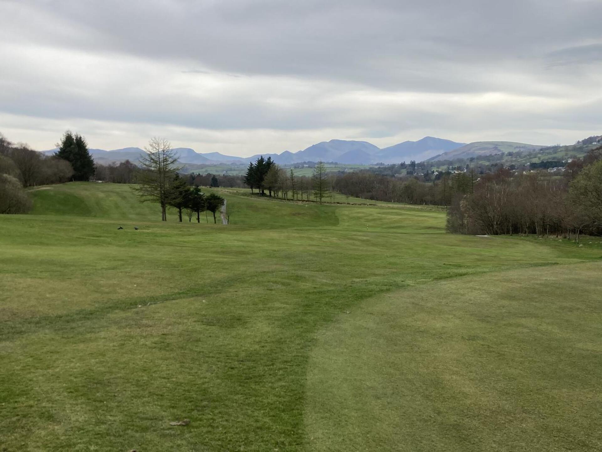 (Photo submitted by u314162605674 on 04/13/2022)