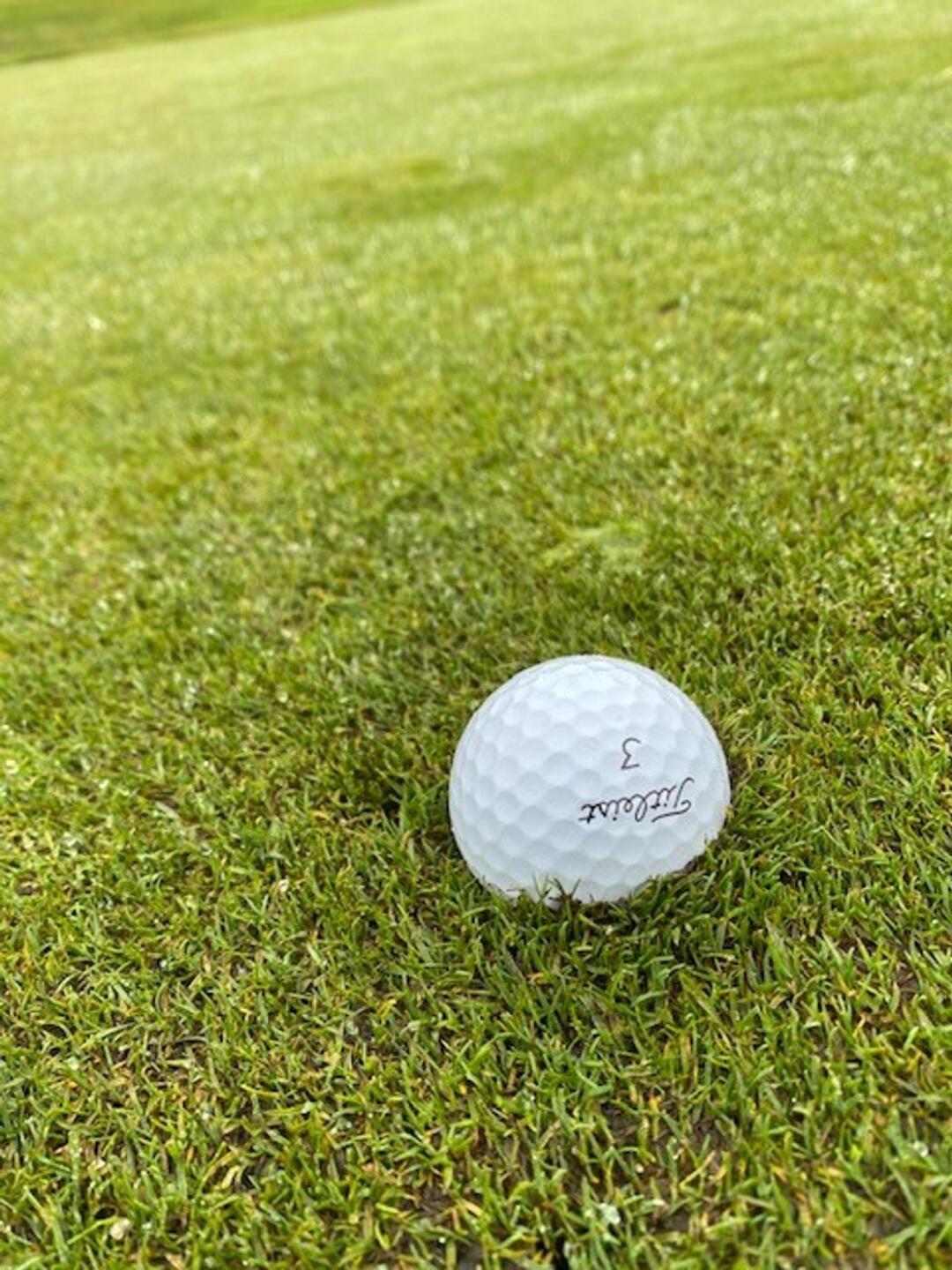 Great greens, but soft! (Photo submitted by u314161098441 on 12/23/2020)