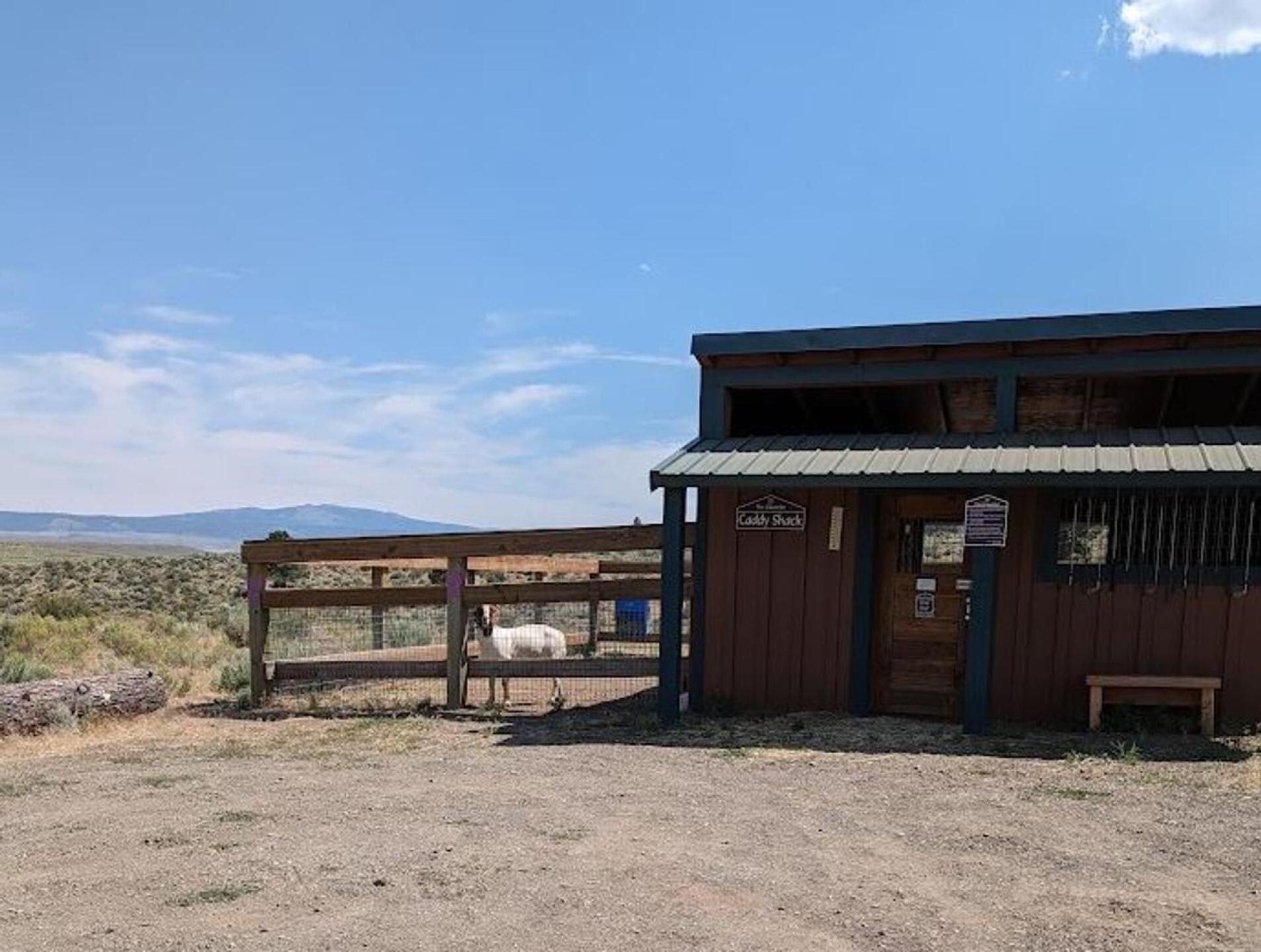 (Photo submitted by sorenj on 07/28/2023)