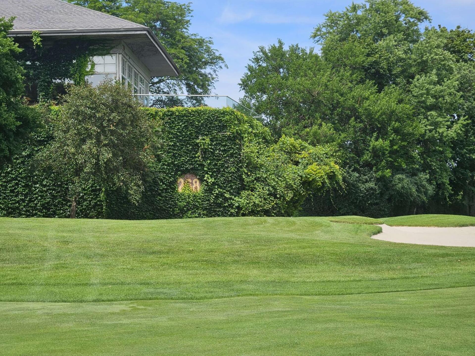 Hole 18 - ivy wall like Wrigley (Photo submitted by u314161622535 on 07/11/2026)
