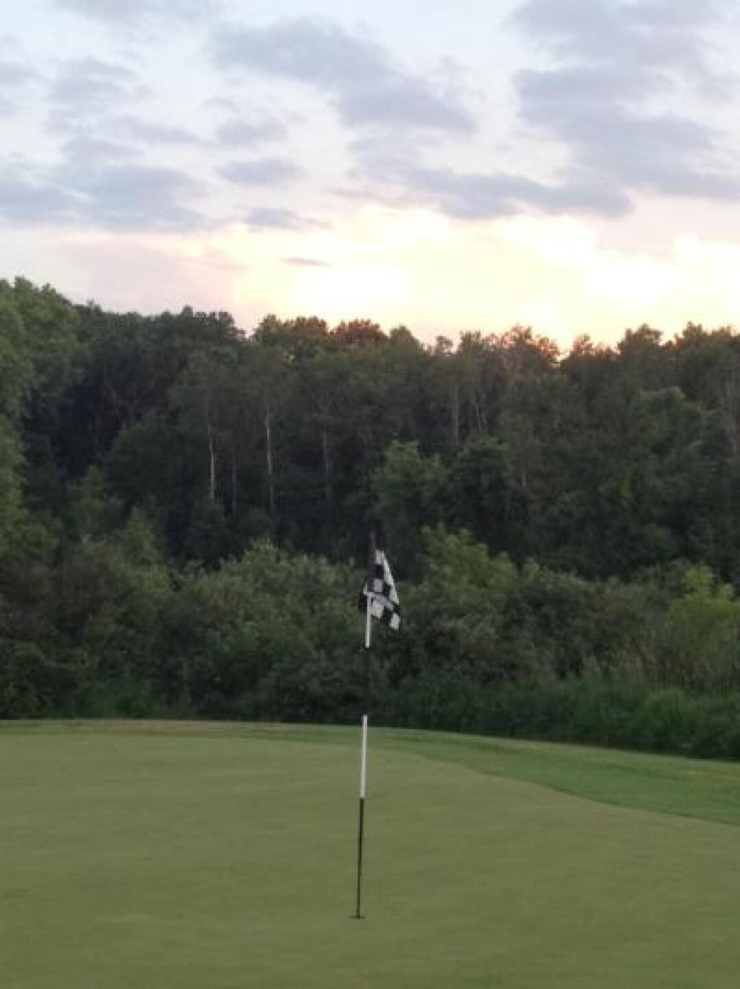 (Photo submitted by u000007343674 on 07/21/2013)