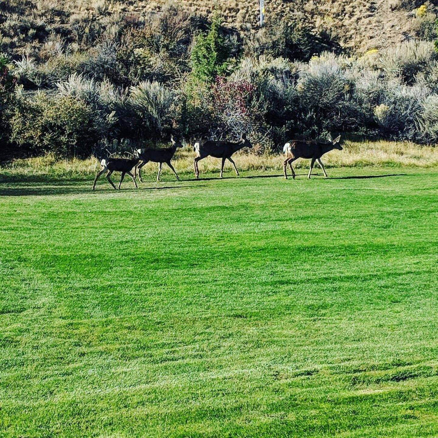 (Photo submitted by sorenj on 10/15/2018)