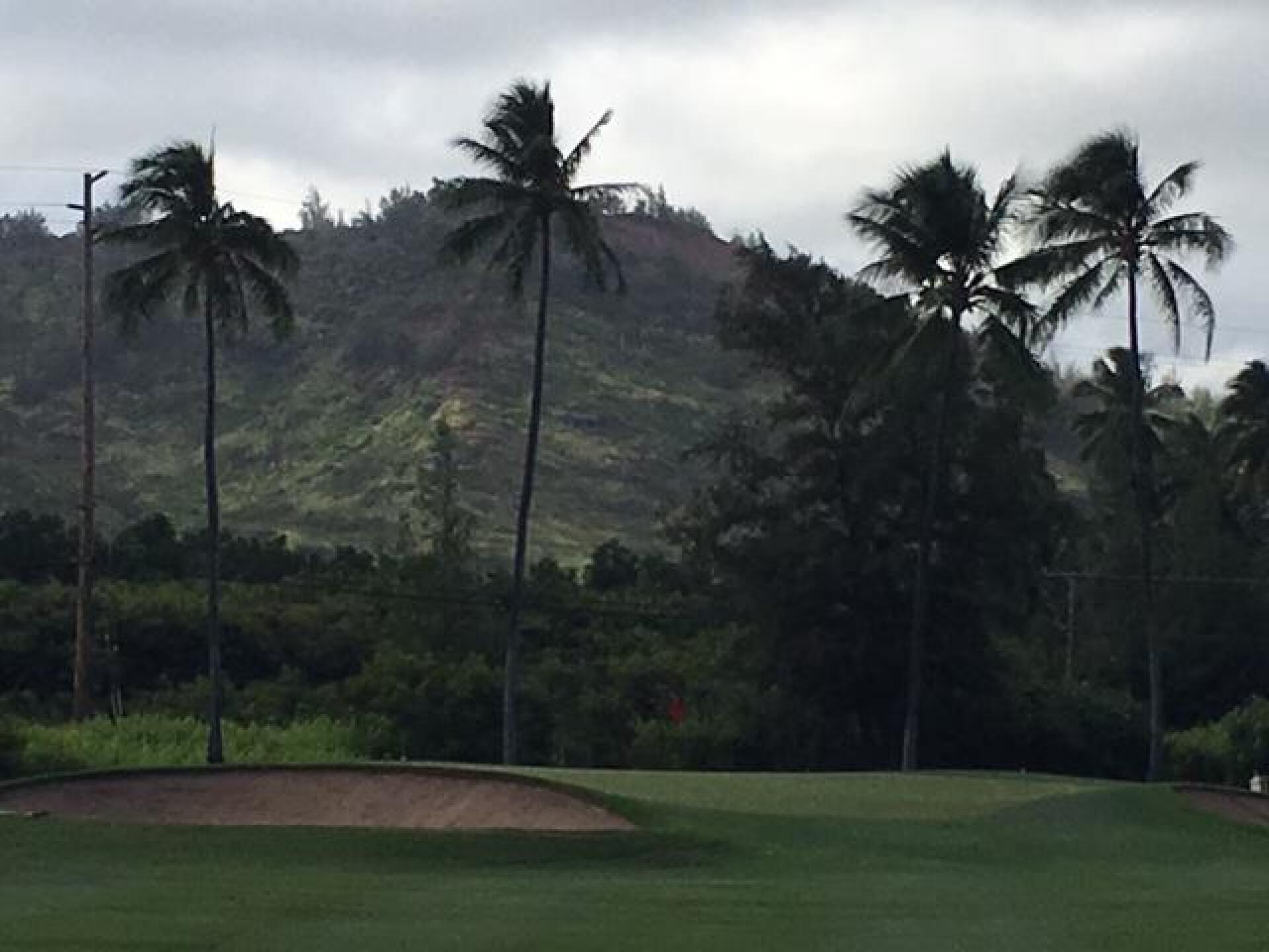 (Photo submitted by LICC on 09/08/2017)