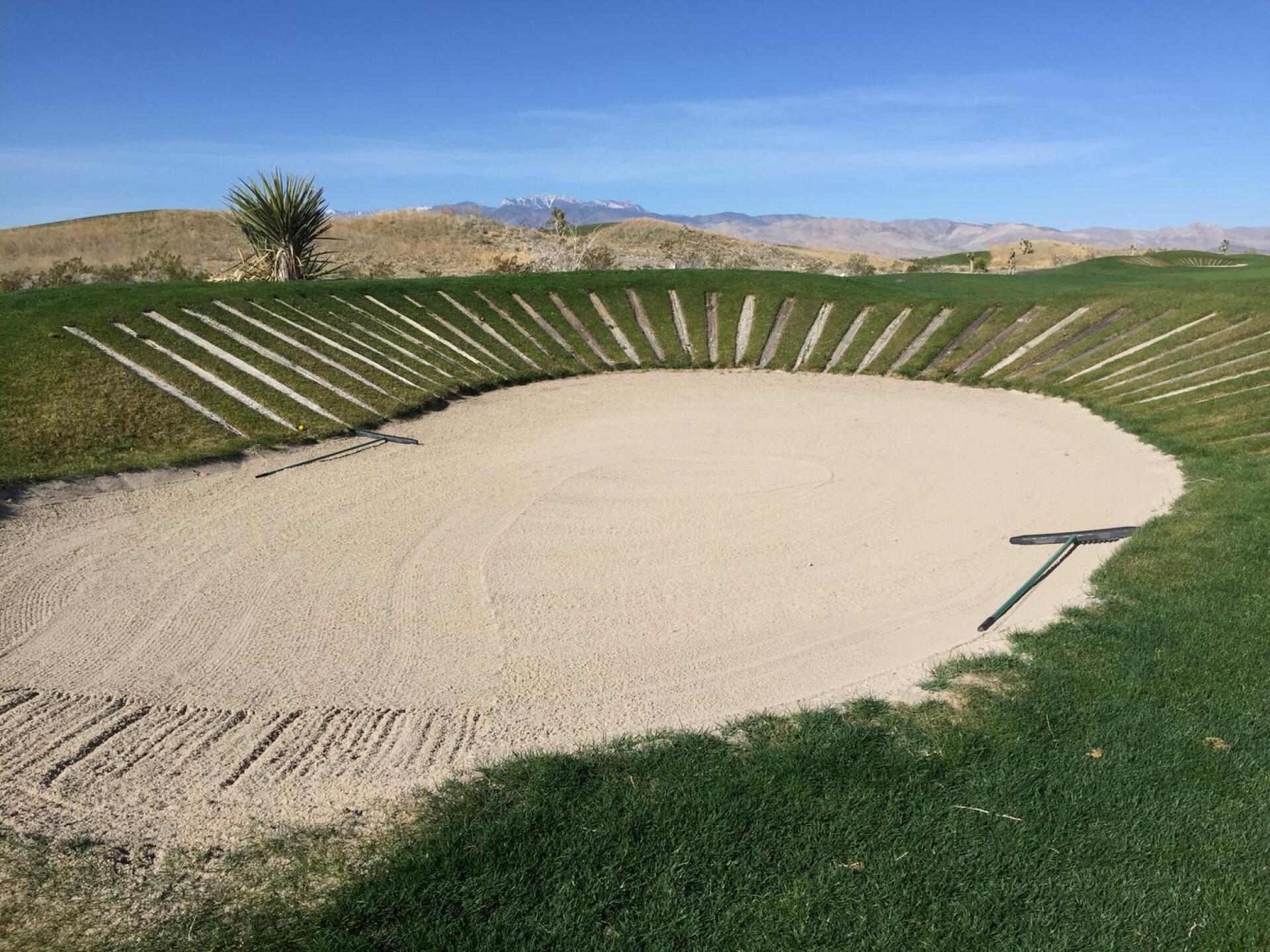 (Photo submitted by jastroz on 03/06/2016)