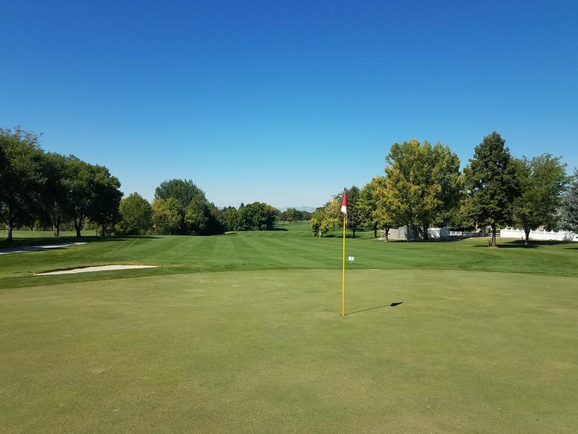 No dead spots in grass! (Photo submitted by u36488198 on 09/22/2020)