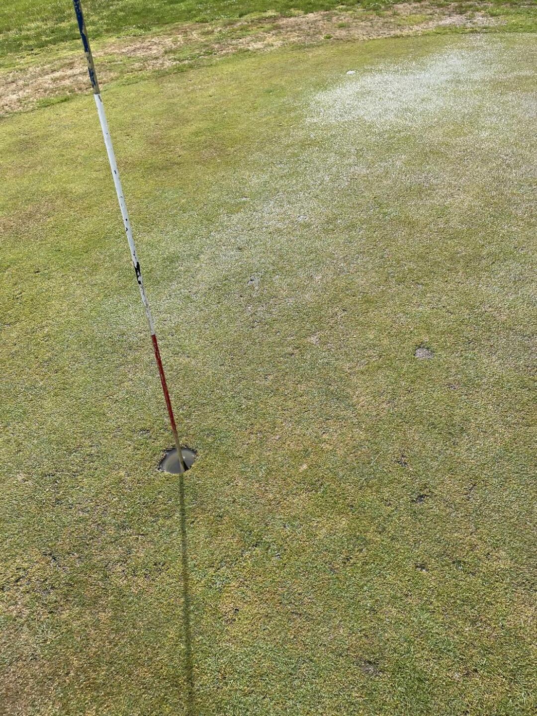 (Photo submitted by VandeGolf on 06/04/2024)