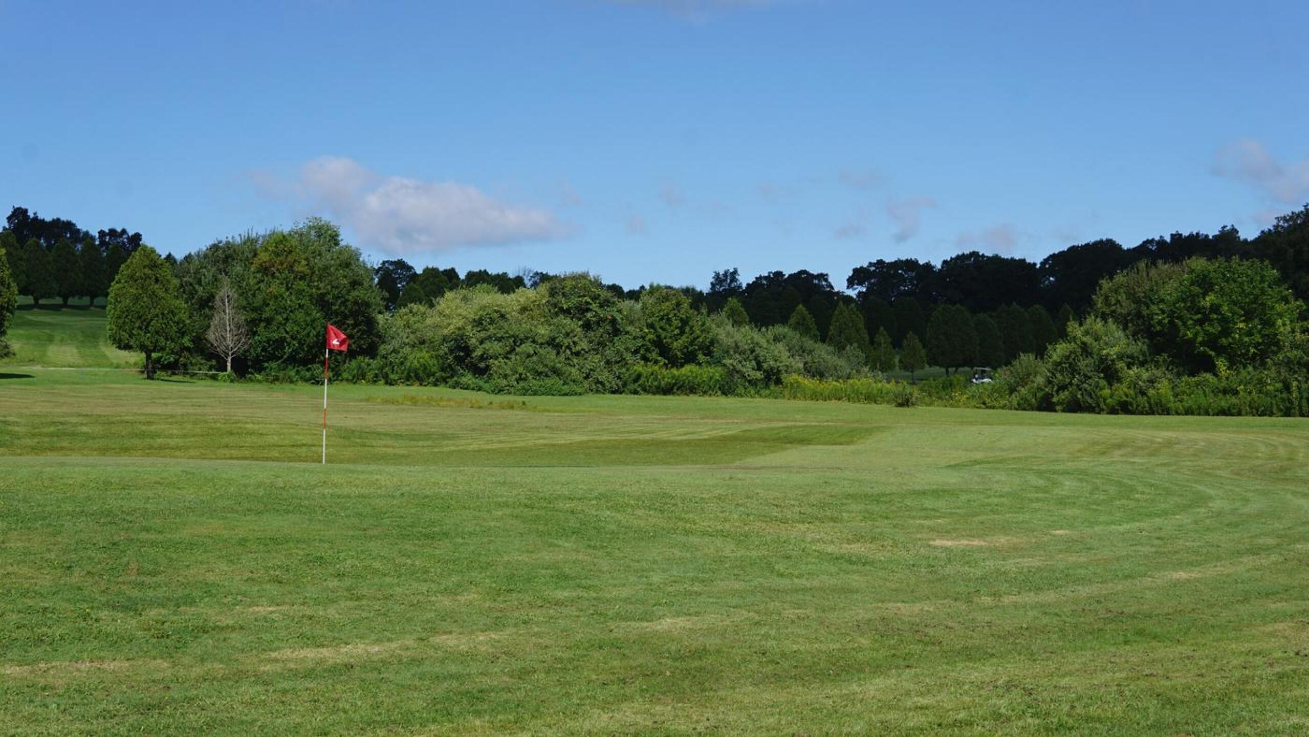 The second is a fine three-par of medium length (Photo submitted by AptlyLinked on 09/04/2024)