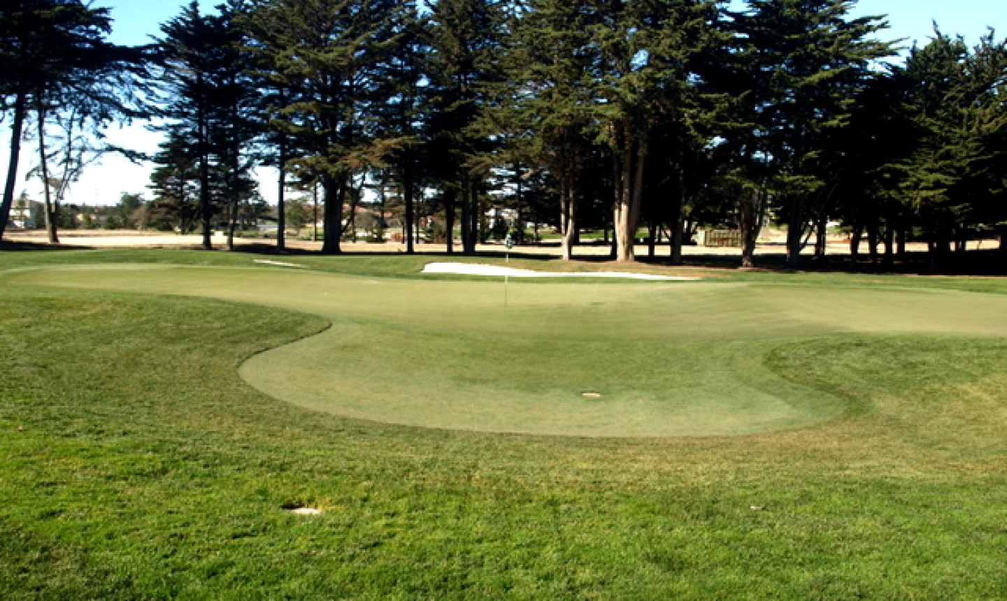Bayonet Golf Course - No. 8