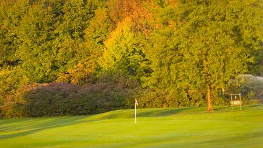 Chestnut Hill CC