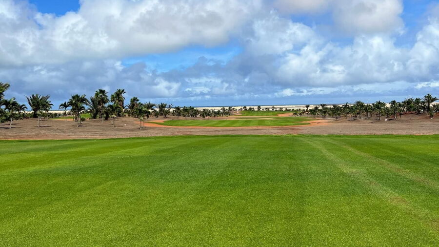 Viveiro GCC
