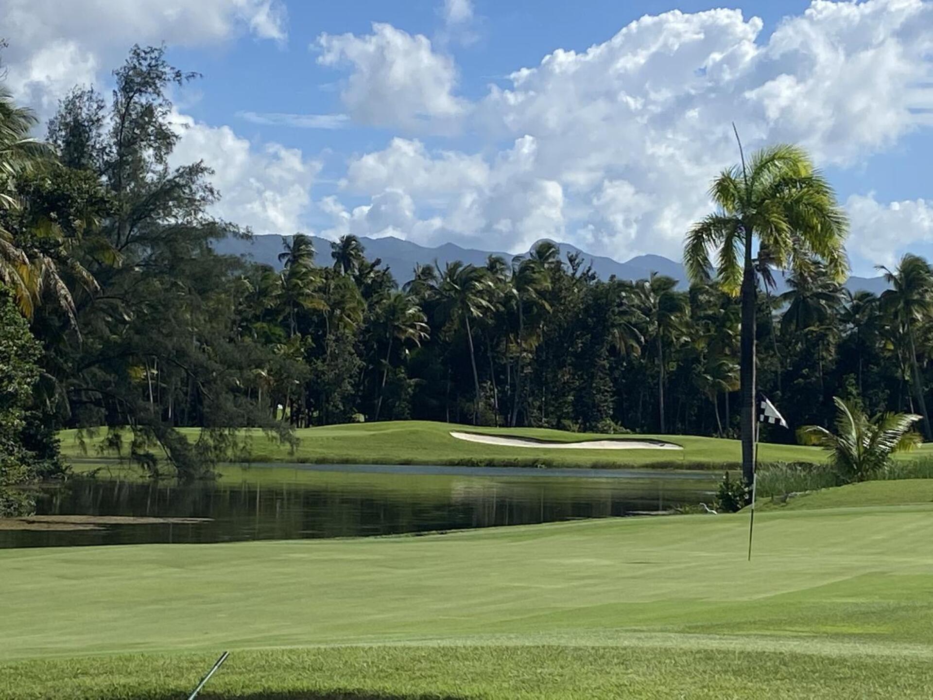 (Photo submitted by u101330682 on 10/11/2022)