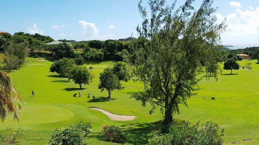 Grenada GCC