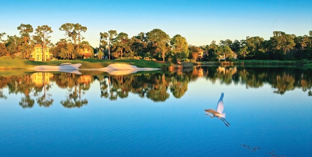 Lake Nona Golf & Country Club - lake
