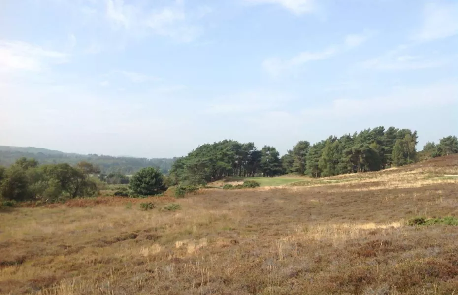 Isle of Purbeck: #11