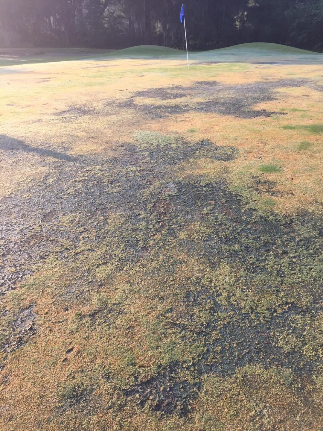 (Photo submitted by Joseph7147389 on 05/11/2015)