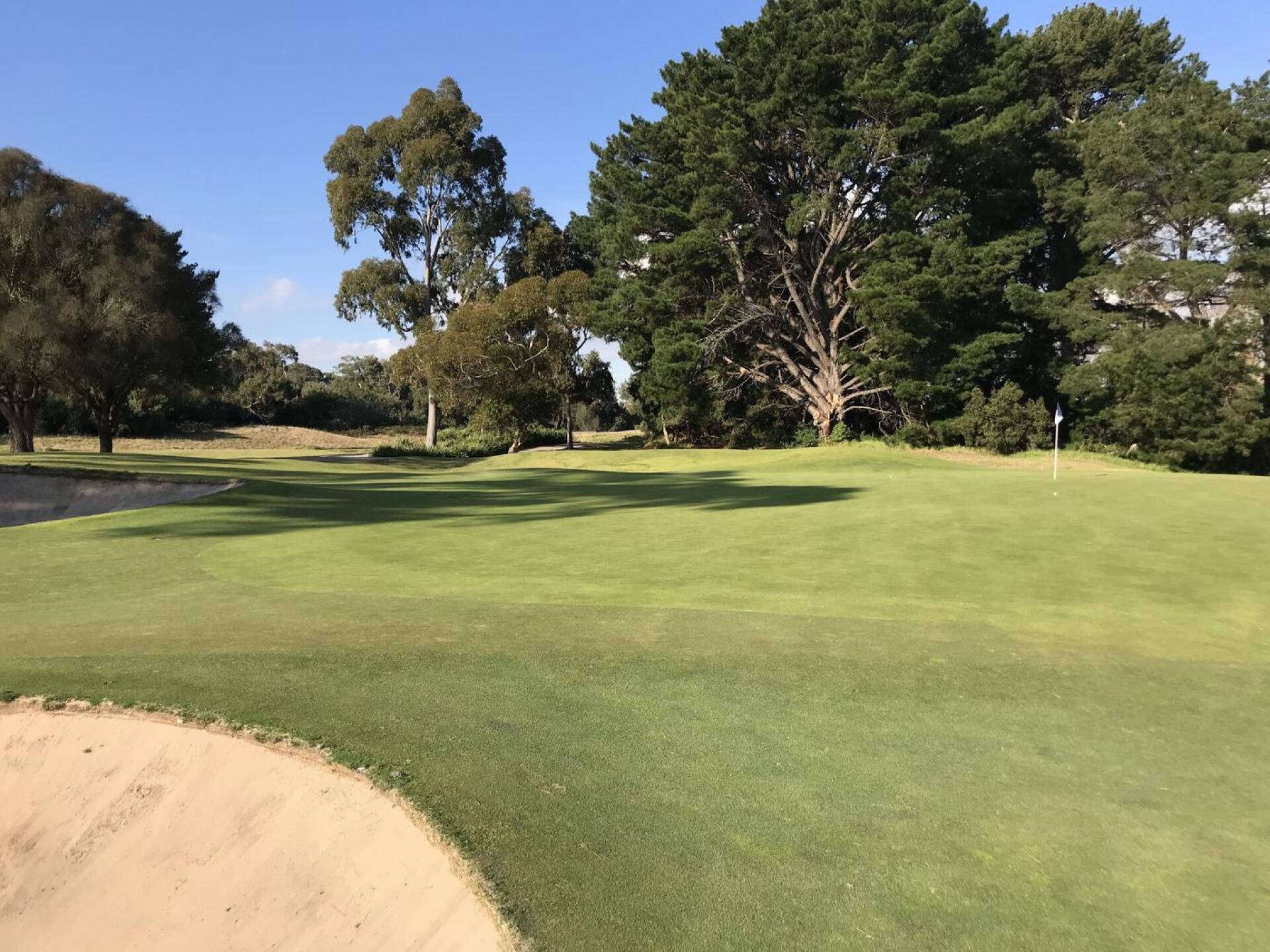 (Photo submitted by theglasseyegolfer on 10/24/2021)